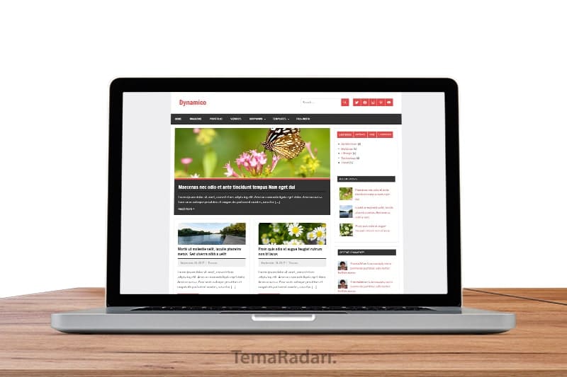 WordPress Ücretsiz Blog Teması